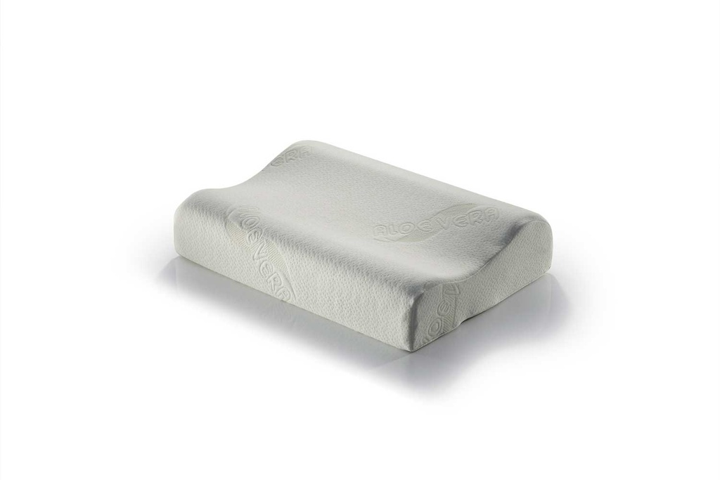 OREILLER VISCO VERA 60X40