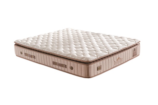 BIOSALT 120X200 MATELAS